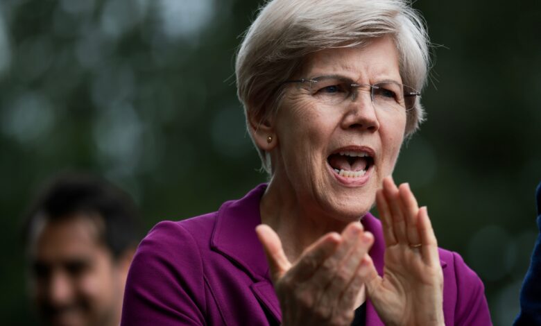 As Meta Said to Mull Tokens, U.S. Senator Warren Calls for Blocking Big Tech Stablecoins