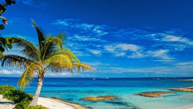 Dreamy Maldives Turns to Crypto to Solve Mounting Debt Crisis
