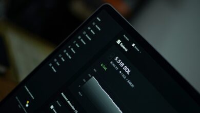 SOL Holdings More Than 400K Tokens
