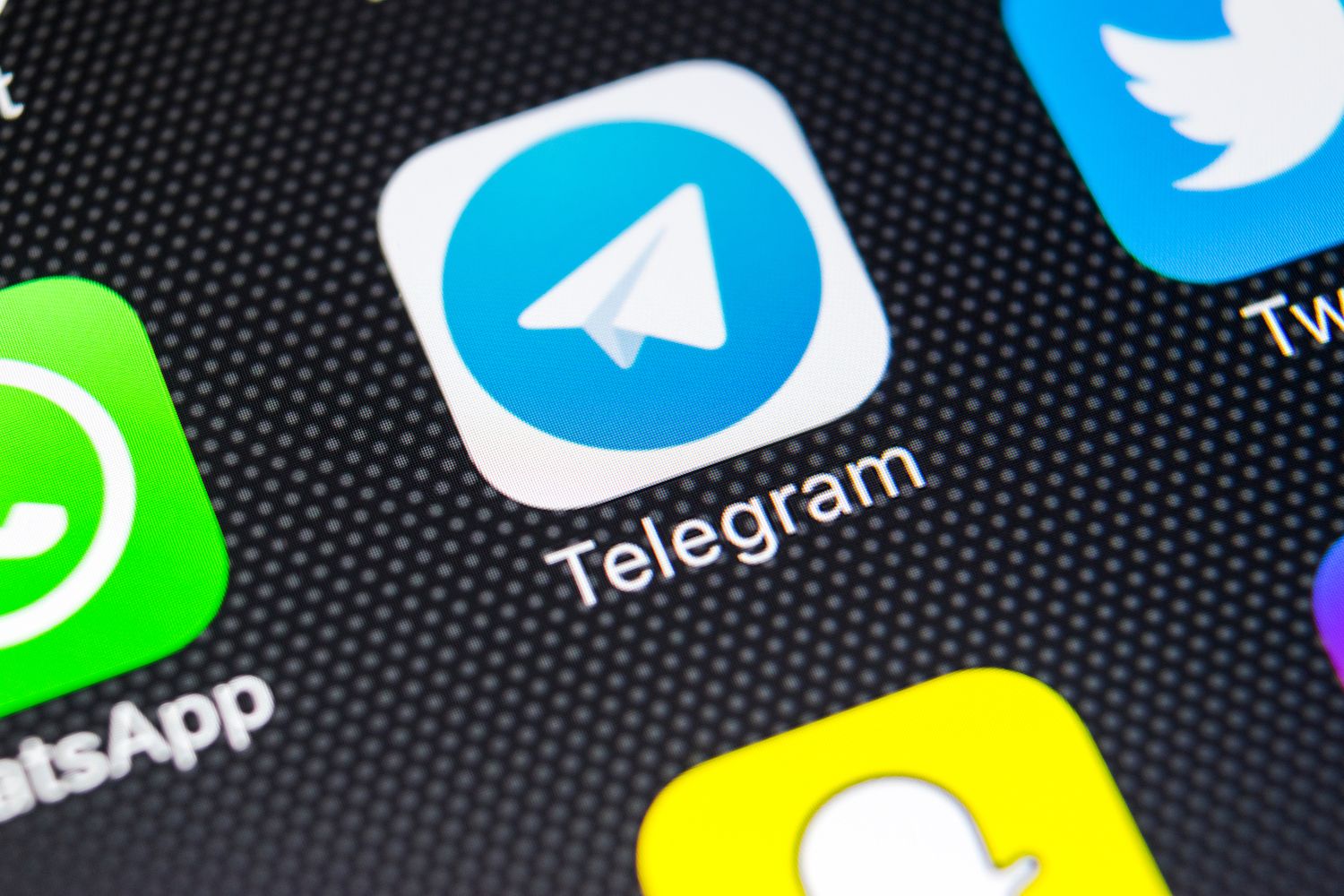 Telegram Information: Elon Musk Denies Deal Telegram News: Elon Musk Denies Deal