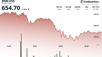 BNB Down 4% as Global Trade Tensions Overshadow SEC Victory
