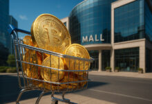 Retail Bitcoin holdings drop to 17% as wealthier entities dominate