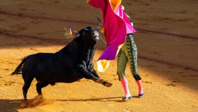 Matador Technologies to Acquire Stake in Indian Firm HODL Systems