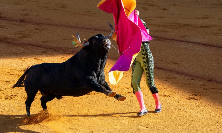 Matador Technologies to Acquire Stake in Indian Firm HODL Systems