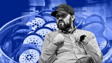 Cardano's Hoskinson denies ADA misappropriation allegations, calls them deeply personal and damaging