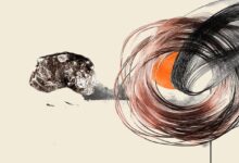 Copper jumps on trade optimism – ING