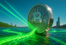 Bitwise CIO expects surge in crypto ETP allocations by year-end, foresees 5% portfolio norm