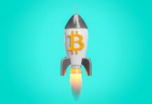 Bitcoin Price News (BTC): New Record High
