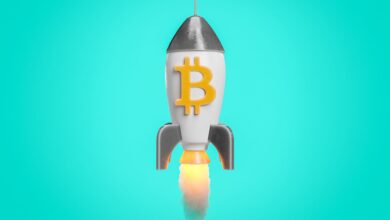 Bitcoin Price News (BTC): New Record High