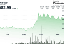 Ecosystem Activity Surges Amid Market Optimism