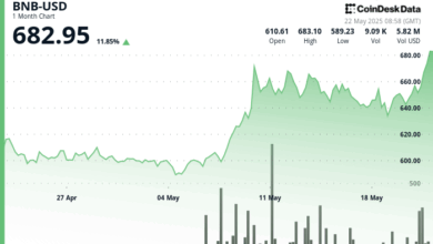 Ecosystem Activity Surges Amid Market Optimism