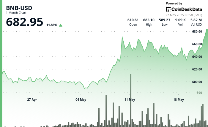 Ecosystem Exercise Surges Amid Market Optimism Ecosystem Activity Surges Amid Market Optimism