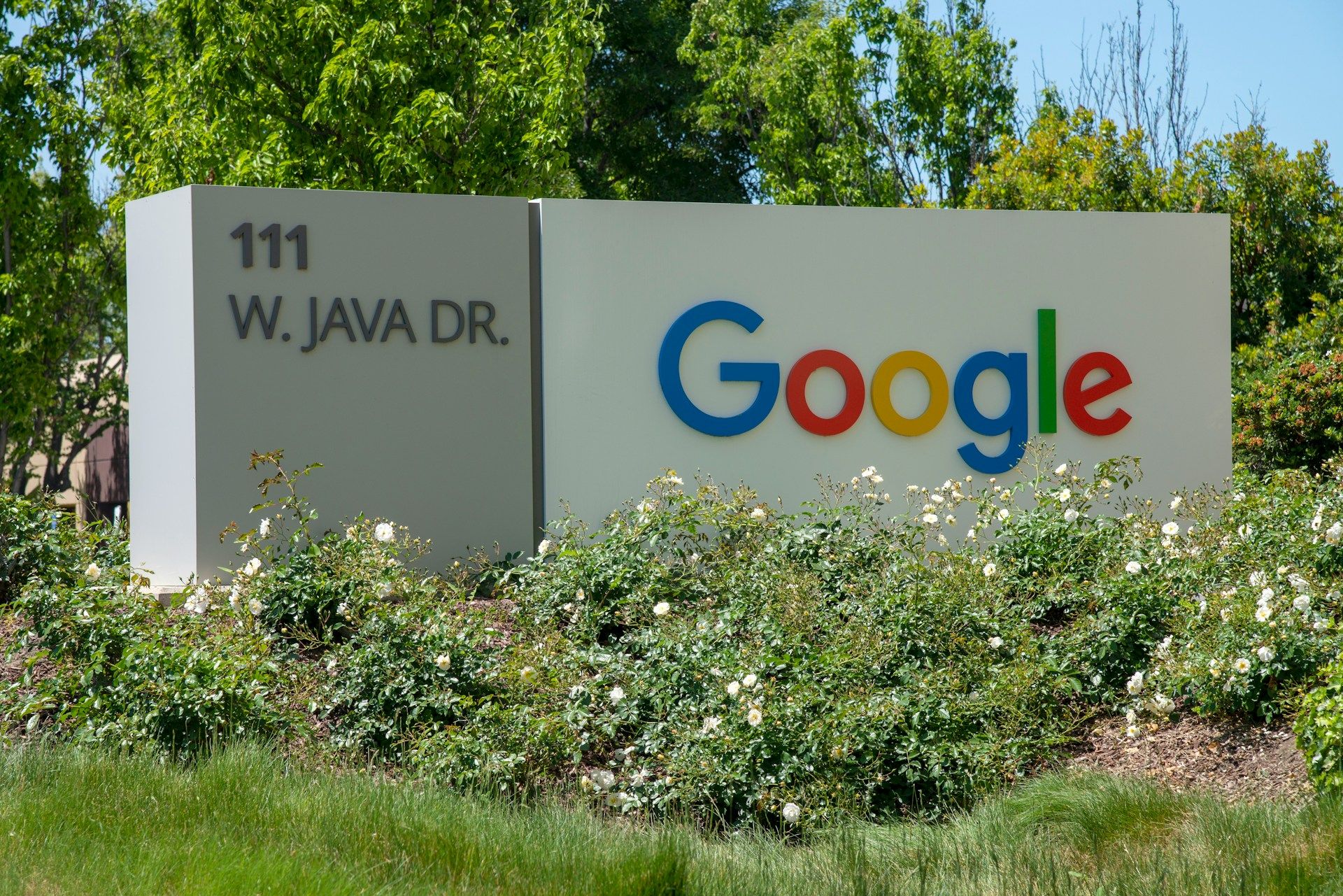 Google Provides Blockchain Tech to Pockets to Let Customers Show Age With out Sharing Information Google Adds Blockchain Tech to Wallet to Let Users Prove Age Without Sharing Data