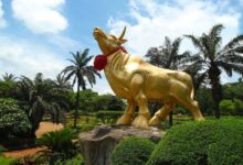 'Buy in May and Go Away' as Crypto Bucks Summer Lull, Analysts Say