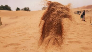 'Dry Powder' Could Mean Big Price Gains