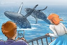 Bitcoin's ‘big whales’ continue sell-off after all-time high