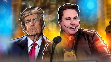 Bitcoiners say Elon Musk should buy Bitcoin to win Trump feud