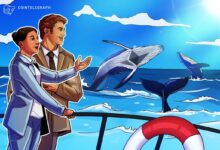 Ethereum whales, sharks keep buying up ETH as retail cashes out