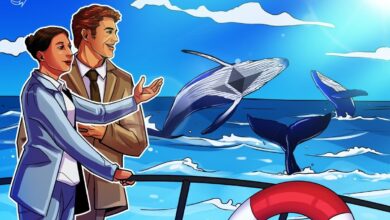 Ethereum whales, sharks keep buying up ETH as retail cashes out