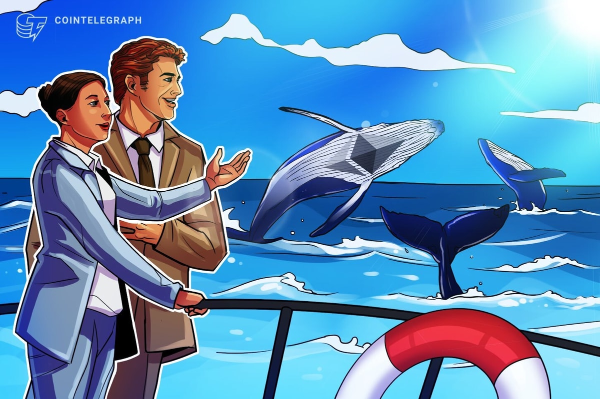 Ethereum whales, sharks maintain shopping for up ETH as retail cashes out Ethereum whales, sharks keep buying up ETH as retail cashes out