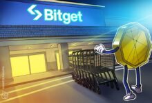 Retail investors no longer FOMO into BTC, altcoins
