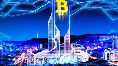 Parataxis Bitcoin Treasury Plan for South Korea sends Birge Bio Stock up 20%