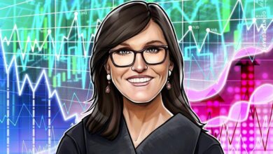 Cathie Wood’s ARK Dumps Another $45M Circle Shares