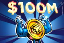 Crypto Hedge Fund Veterans Seek $100M to Buy BNB, Emulating Saylor's Bitcoin Strategy