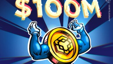 Crypto Hedge Fund Veterans Seek $100M to Buy BNB, Emulating Saylor's Bitcoin Strategy