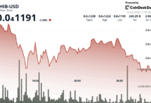 Sell-Off Continues as SHIB Burn Rate Skyrockets to 112,000%