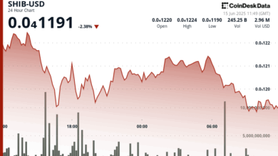 Sell-Off Continues as SHIB Burn Rate Skyrockets to 112,000%
