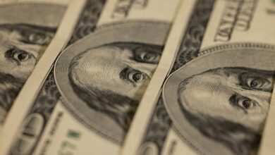 Bitcoin DeFi Project Elastos Debuts BTC-Backed Stablecoin BTCD