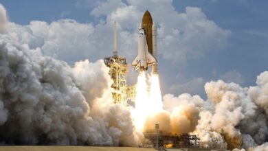 XRP Primed For Record Rally? Ripple-Linked Coin Echoes Bullish Bitcoin (BTC) Pattern