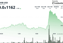 Whale Accumulation, 'Inside Week' Candle Offer Hope to Shiba Inu Bulls