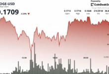 Dogecoin Steady But Flashing 'Oversold' in Signal for Bearish Bets