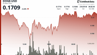 Dogecoin Steady But Flashing 'Oversold' in Signal for Bearish Bets