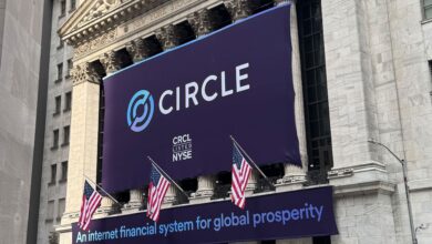 Circle Scores Big on IPO Fever