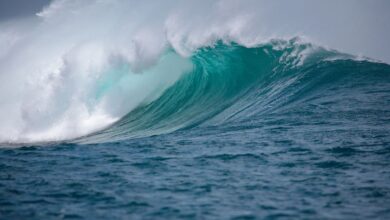 Ether Price Volatility Relative to Bitcoin Hits Highest Since FTX Crash