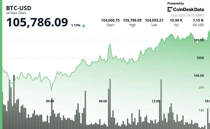 Bitcoin (BTC) Stays Agency as Trump-Musk Feud Escalates Over 2025 Funds Politics Bitcoin (BTC) Stays Firm as Trump-Musk Feud Escalates Over 2025 Budget Politics