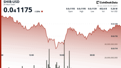 SHIB Long-Short Ratio Suggests Bearish Sentiment as Over $1.8M in Bullish Bets Liquidated