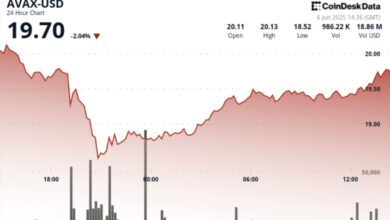 AVAX Surges 6% After Musk/Trump Dispute Sell-Off