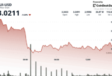 SUI Slides to $3.02 After Heavy Sell-Off — Is the $3 Level Strong Enough to Hold?