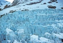 Midnight Network Reveals NIGHT Tokenomics and 'Glacier Drop' Airdrop Process