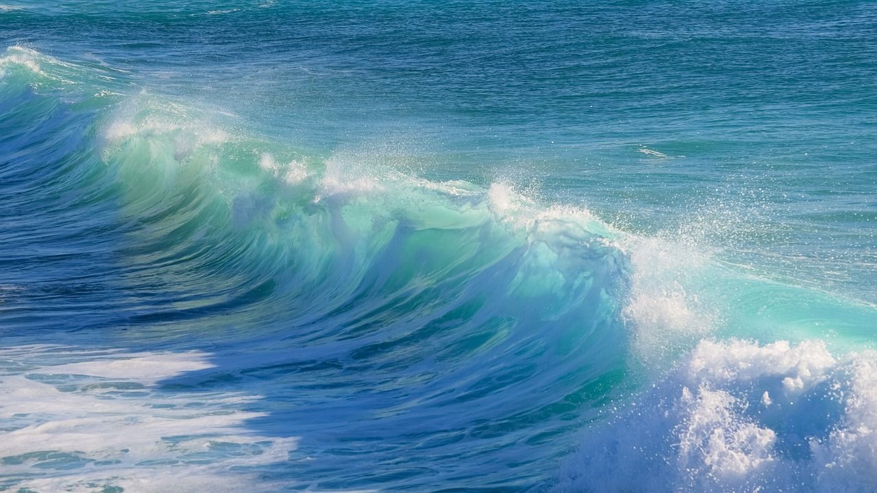 Bitcoin Weak spot Fails to Cease Company Adoption Wave Bitcoin Weakness Fails to Stop Corporate Adoption Wave