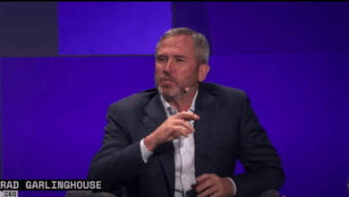 Token Could Capture 14% of SWIFT’s Volume, Ripple CEO Brad Garlinghouse Says