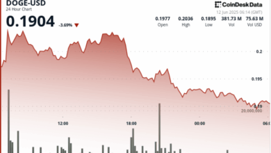 Dogecoin Drops 7% After Brief Rally Amid Rising Hopes of a DOGE ETF