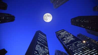 MoonPay Grabs Coveted BitLicense Approval In New York