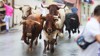 4 Factors Boosting the Case for a BTC Price Rally to $120K