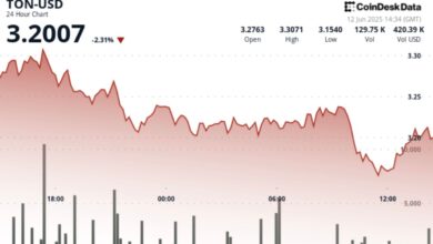 TON Slips as Selling Pressure Mounts Despite Recovery Attempts