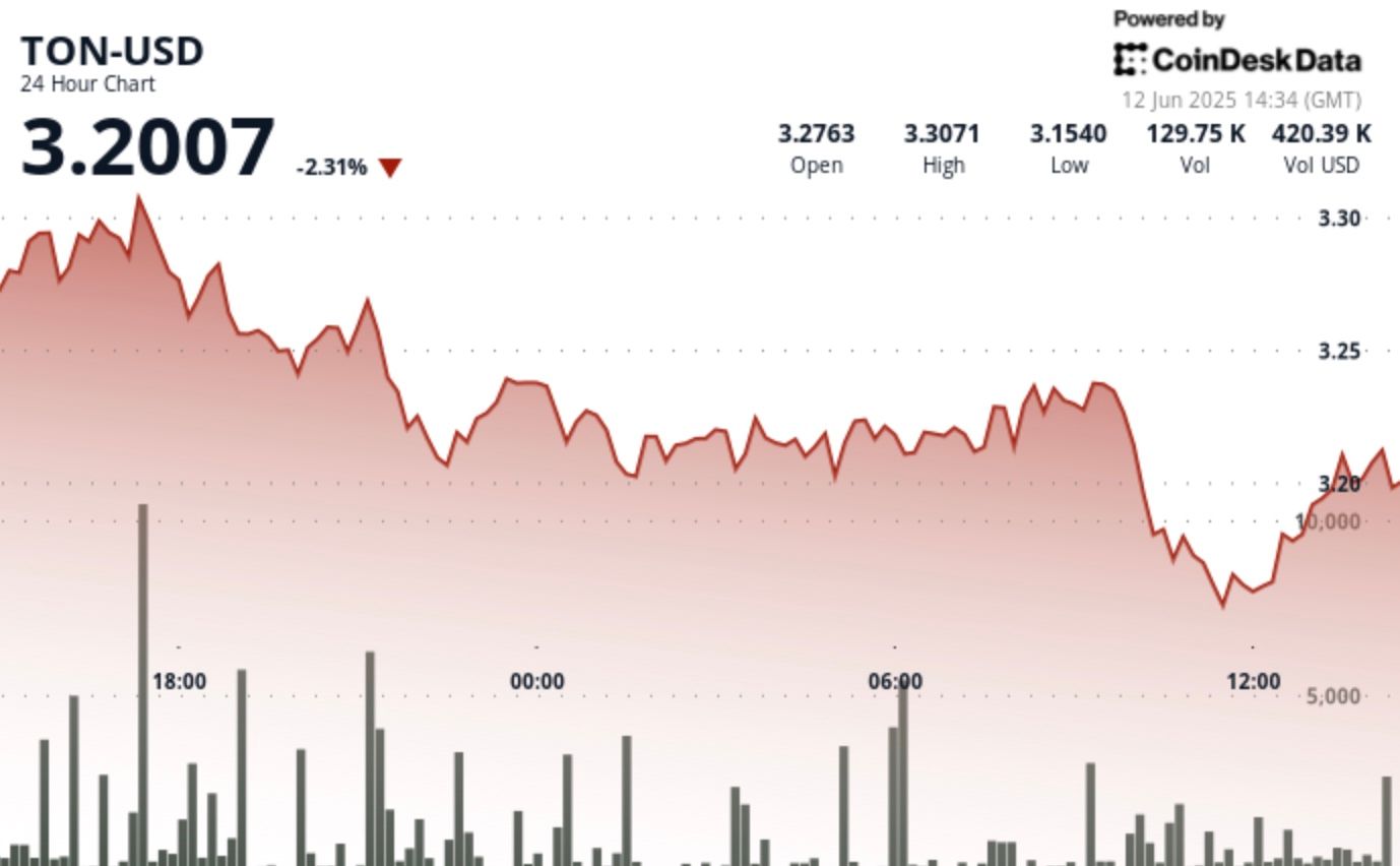 TON Slips as Promoting Strain Mounts Regardless of Restoration Makes an attempt TON Slips as Selling Pressure Mounts Despite Recovery Attempts